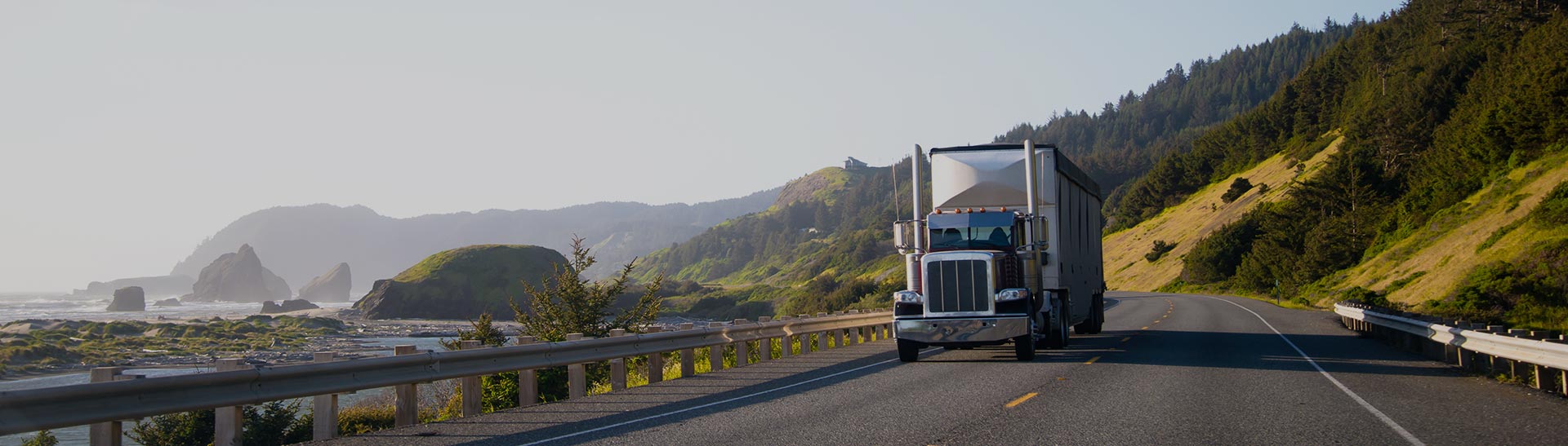 Jackson Trucking Company, Trucking Services and Long Haul Trucking